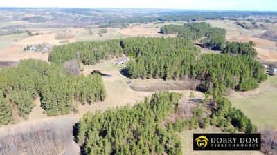 Dom, Sidory, Jeleniewo, Suwalski, 700 m²