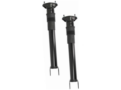 Arnott sk-2868 амортизатор фото №1