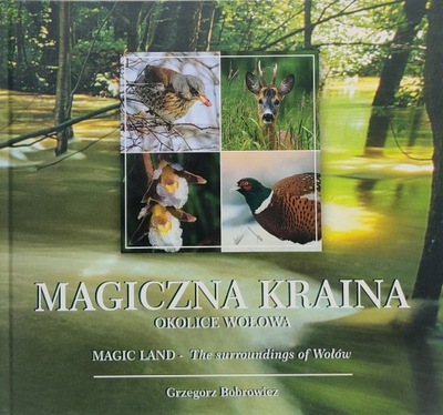 Magiczna Kraina okolice Wołowa Grzegorz Bobrowicz