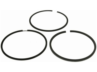 Кільця поршневі renault avantime 2.2 laguna ii 2.2 vel satis 2.2 фото №1