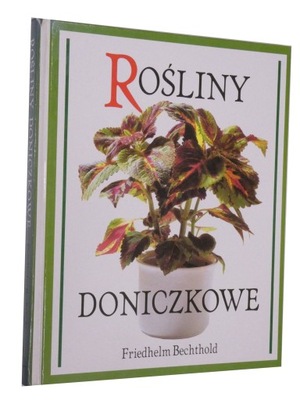 Rośliny doniczkowe Bechthold