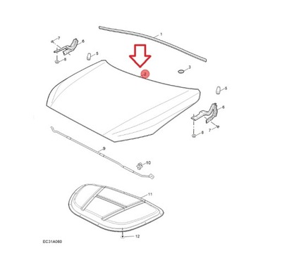 Капот zs ii 2024 фото №1