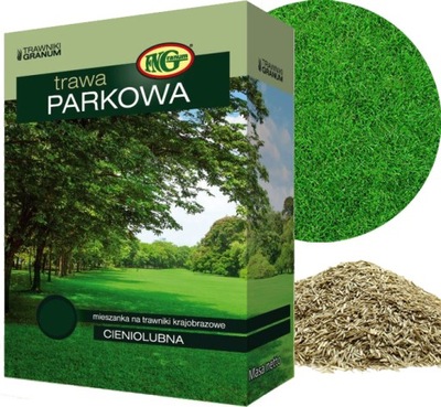 TRAWA CIENIOLUBNA 1kg DO CIENIA W CIEŃ PARKOWA