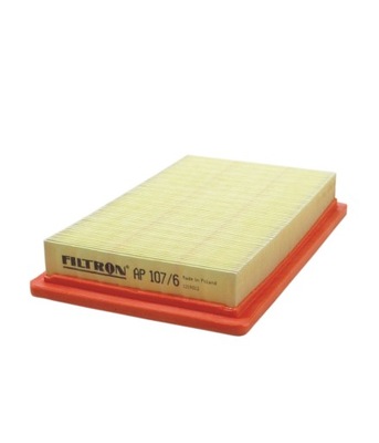 Filtron ap 107/6 фильтр воздуха фото №1