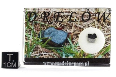 METEORYT DRELÓW !! Polski obserwowany spadek z 18 lutego 2025! 0.183 g