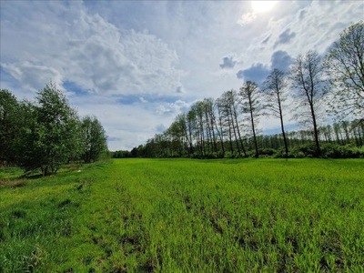 Działka, Wólka Dobryńska, 19930 m²