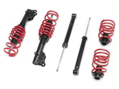 SUSPENSIÓN ROSCADO HONDA CIVIC 8TH GEN. CLASSIC (2006-2011) RACELAND  