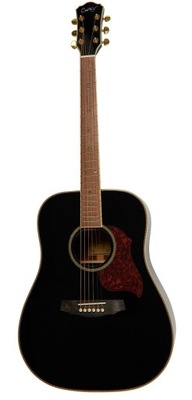 Gitara akustyczna Carter Guitars CD-180 BK