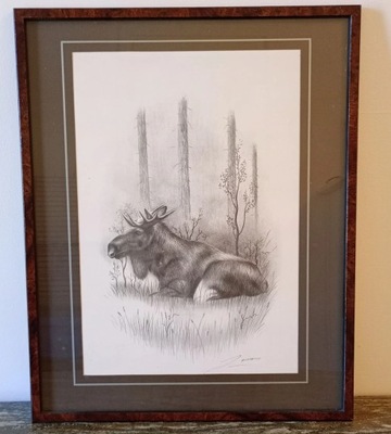 Obrazek Drukowany szkic Łoś