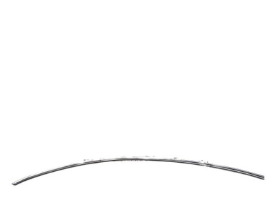 Молдинг дахова дах ліва renault latitude фото №1