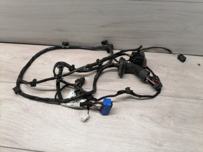 Maserati quattroporte електропроводка двері 6700075120 фото №1