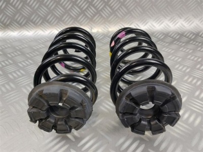 Пружины задняя задние smart forfour 453 2014-2020r фото №1