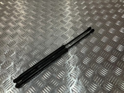 Амортизатори telesopy кришки задня fiat 500 ii 20- фото №1