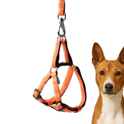 Szelki Soft Style Happet pomarańczowe L 2.0 cm