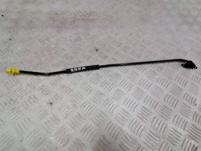 Hyundai kona 1 рестайлінг  підпора bat капота фото №1