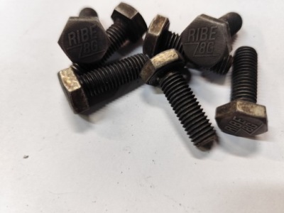 BMW R4 R12 R35 ZUNDAPP NSU DKW БОЛТИ RIBE M10X30 