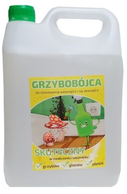 GRZYBOBÓJCA, PREPARAT PRZECIWGRZYBICZNY 5L