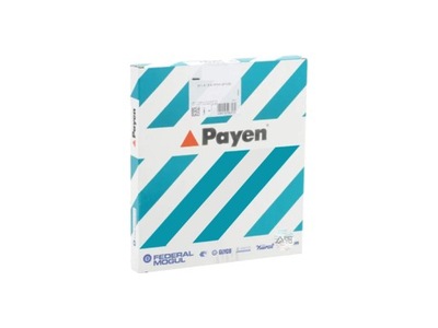 CZĘŚCI SAMOCHODOWE PAYEN PAYEN