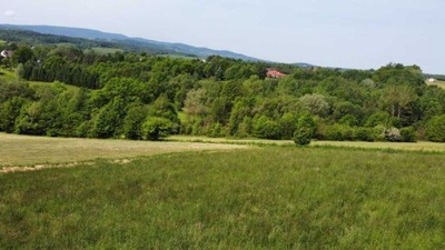 Działka, Zagórzany, Gorlice (gm.), 1707 m²