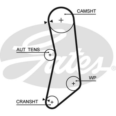 CORREA DISTRIBUCIÓN GATES 5627XS  