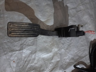 Nissan leaf ii 2 2020 педаль газа 180025wn1b фото №1