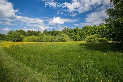 Działka, Borownica, Bircza (gm.), 4600 m²