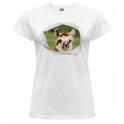 Koszulka zdjęcie damska zwierzę alpaka XXL