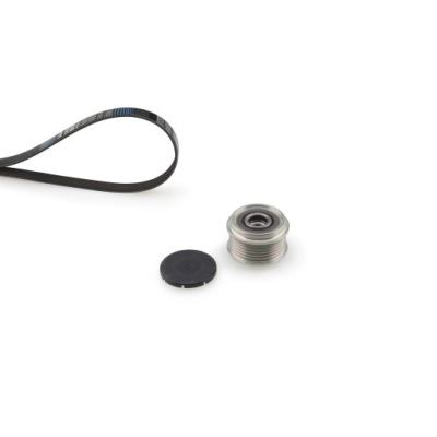 Набір ремінь поліклиновий renault clio ii clio ii/hatchback kangoo kangoo фото №1