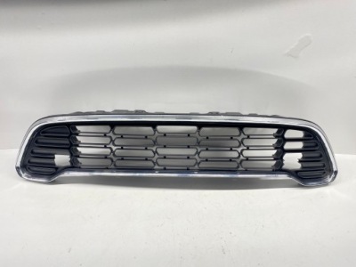Решітка радіатора радіатора решітка радіатора бампера решітка mini cooper r60 countryman фото №1