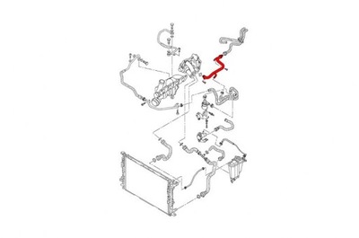 CABLE UKL. DE REFRIGERACIÓN AUDI 06H121065D  