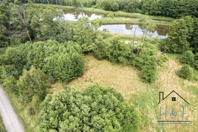 Działka, Kiki, Wodzierady (gm.), 7771 m²