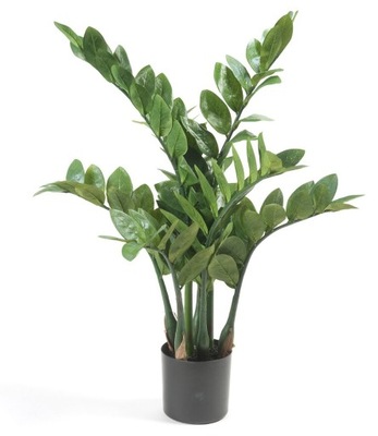 efektowny sztuczny ZAMIOCULCAS 70 zamia jak żywa!