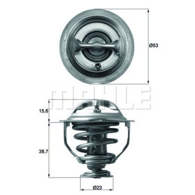 TERMOSTATAS MAHLE TX 117 95D 