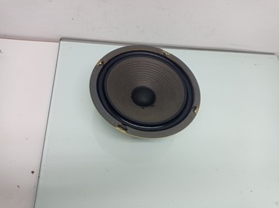 SUMMIT TT 250 - Głośnik Basowy