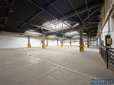 Magazyny i hale, Sosnowiec, 2000 m²