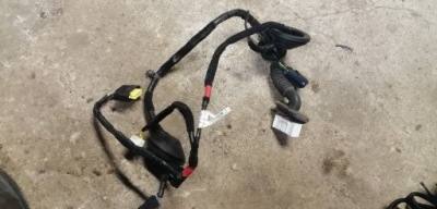 Kia ceed ii електропроводка двері лівий задня 91650-a2030 фото №1