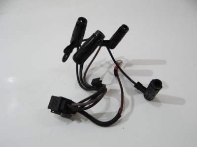 Дроти свічка розжарювання bmw 3 f30, f80 7811162 2.0l дизель 135kw 2012 фото №1