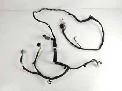 2018 tesla model x джгут електрична p103288200g фото №1