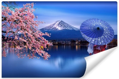 Fototapeta do salonu Japonia góra Fuji 3D 90x60