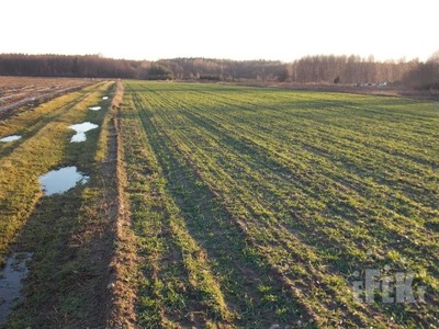 Działka, Lisowola, 10900 m²