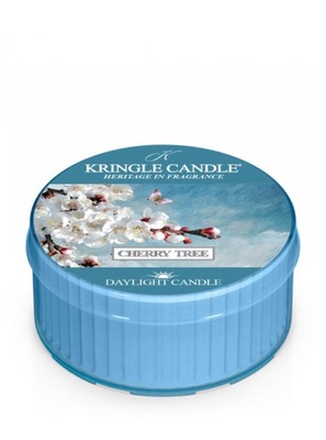 Daylight świeczka Cherry Tree Kringle Candle