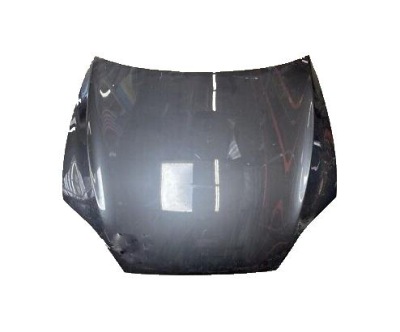 Капот до tesla model s 2021- 1562730e0a фото №1