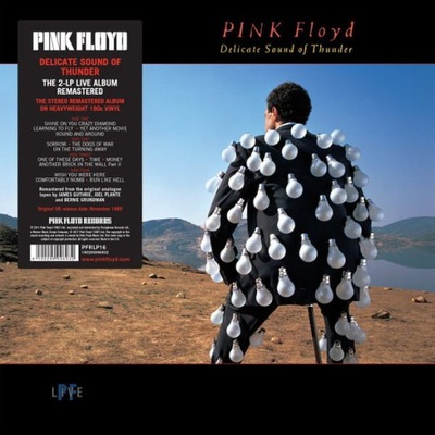 PINK FLOYD - DELICATE SOUND OF THUNDER (2LP GATEFO