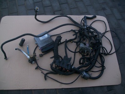 Електропроводка газова 4 циліндри фото №1