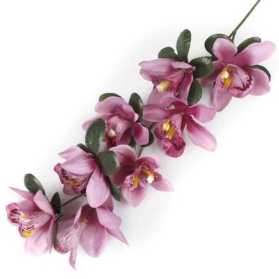Storczyk gałązka CYMBIDIUM pink/mauve ORCHIDEA