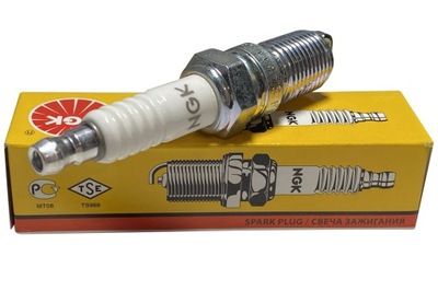 NGK świeca FABIA /5960/