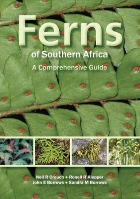 Ferns of Southern Africa - Crouch, Neil R EBOOK