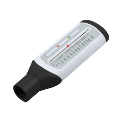 PIKFLOMETR PEMPA PF200A MONITOR ASTMY DOROSŁYCH