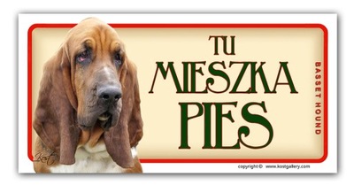 BASSET HOUND tabliczka