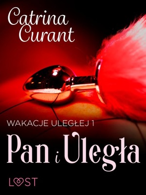 Wakacje uległej 1: Pan i Uległa - seria erotyczna